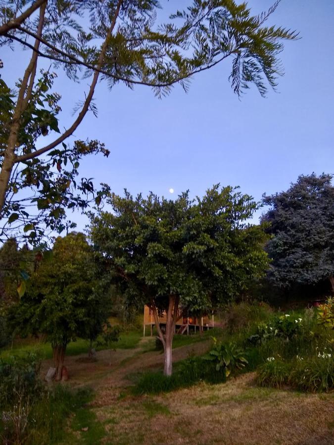 Cabana Agrreste (Adults Only) Nemocon Bagian luar foto